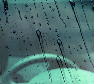 shows water beading on a car windscreen