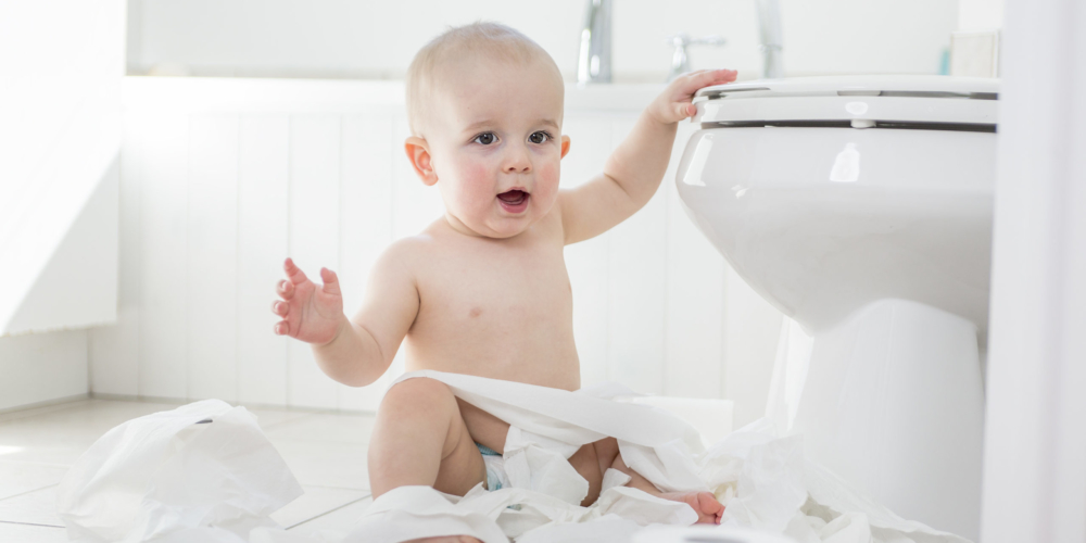 Bathroom Wipeout 365 NanoCare