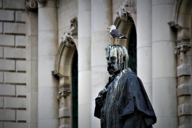 Bird Pooping On A Statue Outside City Hall In Belfast Bird Pooping On A Statue Outside City Hall In Belfast