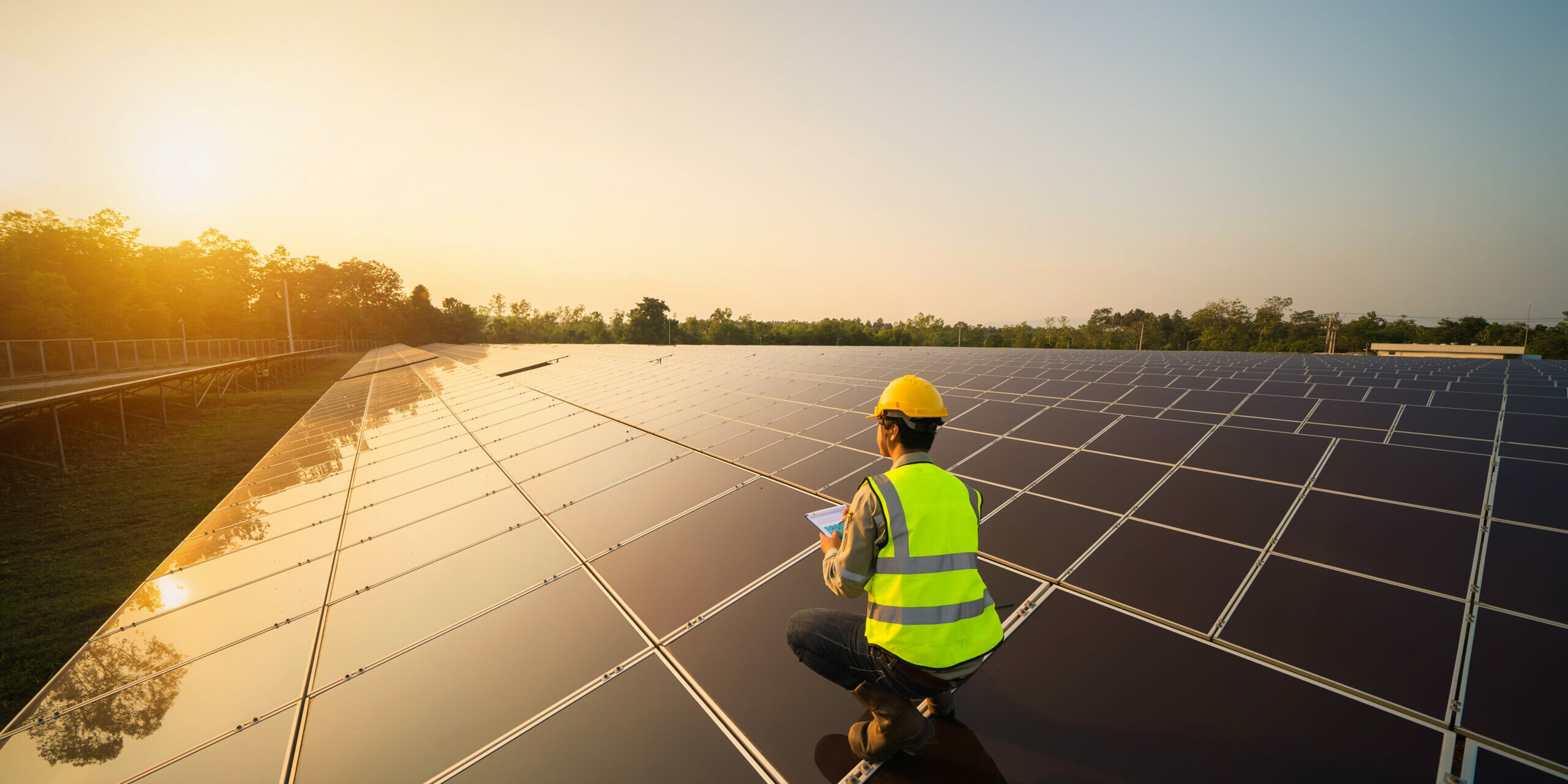 Portrait of engineer man or worker, people, with solar panels or solar cells on the roof in farm. Power plant with green field, renewable energy source in Thailand. Eco technology for electric power.